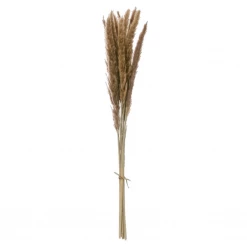 Creative Co-Op Decor Dried Natural Fountain Grass Bunch