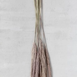 Creative Co-Op Decor Dried Natural Fountain Grass Bunch