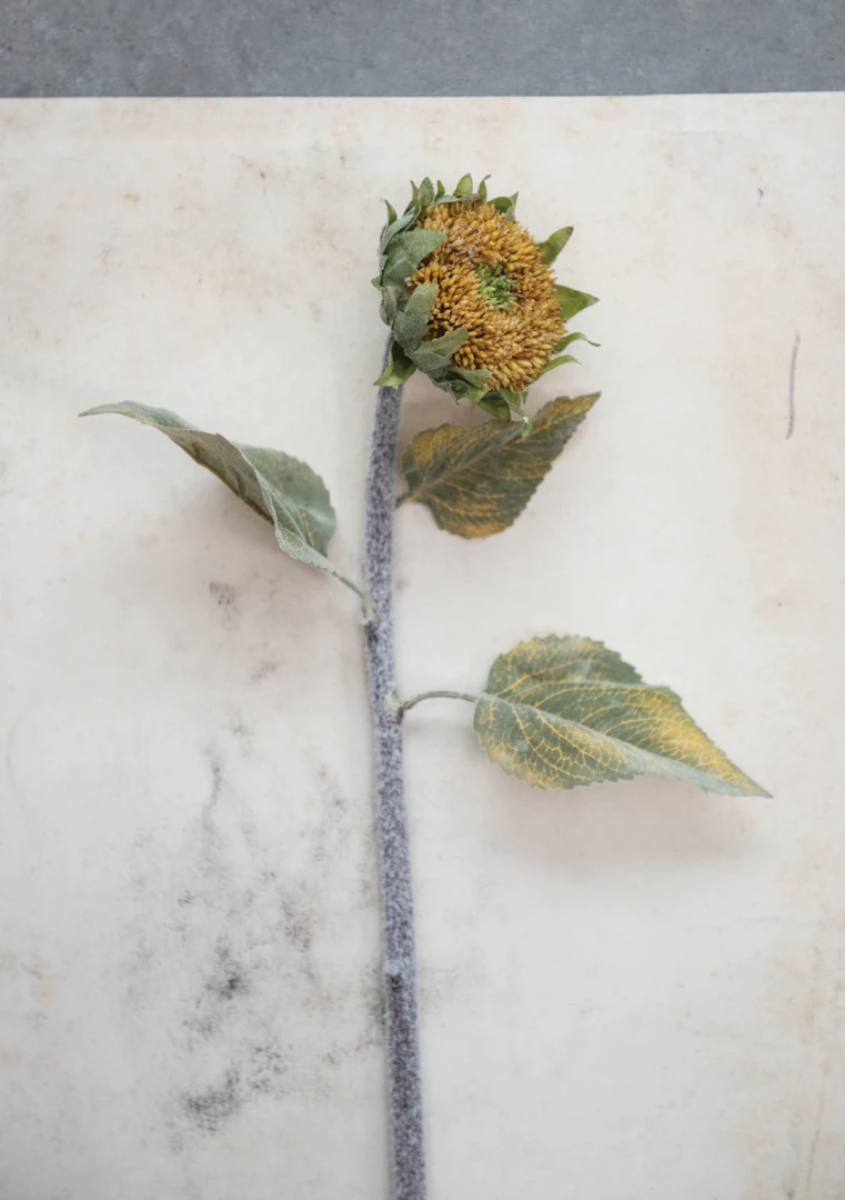 Creative Co-Op New Arrivals Faux Sunflower Stem 4 Creative Co-Op New Arrivals Faux Sunflower Stem