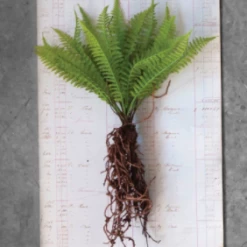 Creative Co-Op Decor Faux Fern With Exposed Roots
