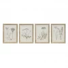 Creative Co-Op New Arrivals Botanist Framed Wall Art Collection