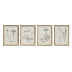 Creative Co-Op New Arrivals Botanist Framed Wall Art Collection
