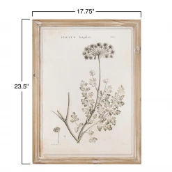 Creative Co-Op New Arrivals Botanist Framed Wall Art Collection