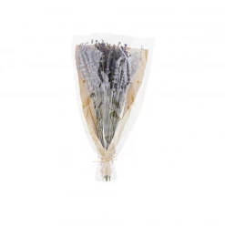 Mudpie Decor Dried Lavender Bunch