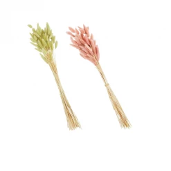 Mudpie Dyed Bunny Grass Bundles