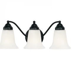 Capital Lighting Alabaster Matte Black Vanity Light