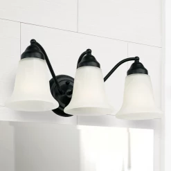 Capital Lighting Alabaster Matte Black Vanity Light