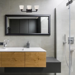 Satco/Nuvo Joshua Bronze Vanity Light