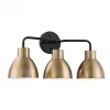 Satco/Nuvo Lighting Naomi Matte Black & Brass Vanity Light