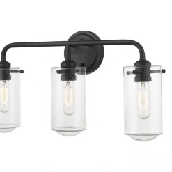 Z-Lite Lighting Willow Matte Black Vanity Light