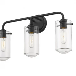 Z-Lite Lighting Willow Matte Black Vanity Light