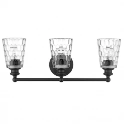 Acclaim Lighting Mallie Black Vanity Light
