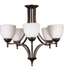 HOME Enhancements Houston 5 Light Chandelier Lighting