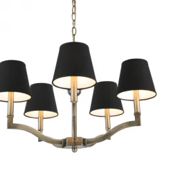 Golden Lighting Everly 5 Light Aged Brass Chandelier