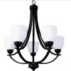 HOME Enhancements Lighting Amara 5 Light Black Chandelier