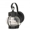 Satco/Nuvo Fiona Outdoor Wall Sconce