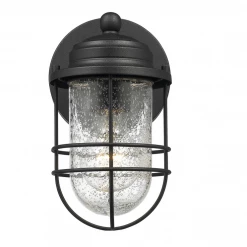 Golden Fisher Outdoor Black Wall Sconce