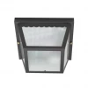 Satco/Nuvo Isaac Black Carport Flush Mount Outdoor