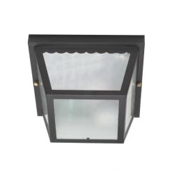 Satco/Nuvo Isaac Black Carport Flush Mount Outdoor