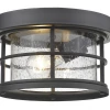 Z-Lite Fisher Outdoor Flush Mount