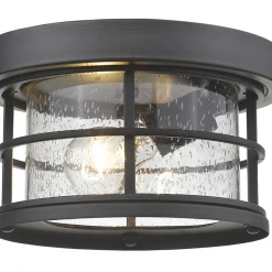 Z-Lite Fisher Outdoor Flush Mount