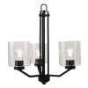 HOME Enhancements Lighting Piper Clear & Matte Black Chandelier