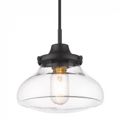 Golden Caspian Matte Black Pendant Lighting