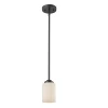 Z-Lite Darcy One Light Pendant Lighting