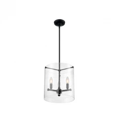Satco/Nuvo Brandi 3 Light Pendant Lighting