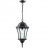 Z-Lite Reid Outdoor Pendant