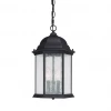 Capital Lighting Dakota 3 Light Outdoor Pendant