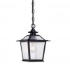 Acclaim Lighting Ronan Outdoor Pendant