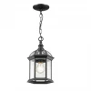 Z-Lite Briar Outdoor Pendant