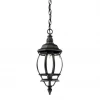 Acclaim Lighting Gabe Outdoor Pendant