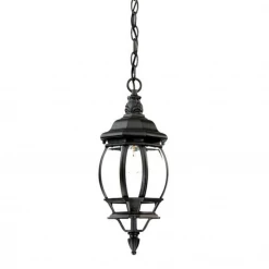 Acclaim Lighting Gabe Outdoor Pendant