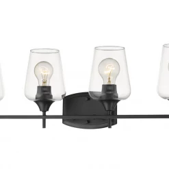 Z-Lite Lighting Julia Matte Black Vanity Light 20 Z-Lite Lighting Julia Matte Black Vanity Light