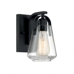 Satco/Nuvo Skye Wall Sconce Lighting