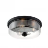 Satco/Nuvo Sommer Matte Black Flush Mount Lighting 2 Satco/Nuvo Sommer Matte Black Flush Mount Lighting