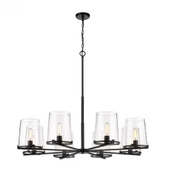 Z-Lite Lighting Cale 8 Light Chandelier