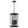 Capital Lighting Walter Outdoor Pendant
