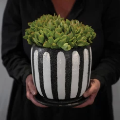 Creative Co-Op Hand-Painted Planter