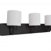 HOME Enhancements Lighting Piper Matte Black & White Vanity Light