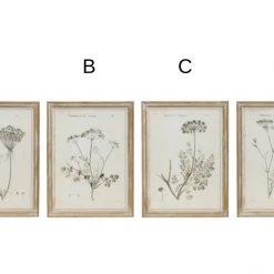 Creative Co-Op New Arrivals Botanist Framed Wall Art Collection
