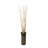 Kalalou Natural Kambooi Branches Bundle Decor