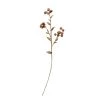 Creative Co-Op Faux Plum Berry Stem Decor
