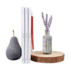 Creative Co-Op Round Paulowina Wood Slice