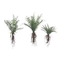 Creative Co-Op Decor Faux Fern With Exposed Roots