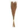 Creative Co-Op Dried Natural Tiger Grass