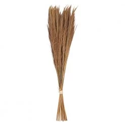 Creative Co-Op Dried Natural Tiger Grass
