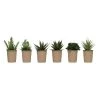 Creative Co-Op Decor Faux Succulent In Paper Pot 1 Creative Co-Op Decor Faux Succulent In Paper Pot